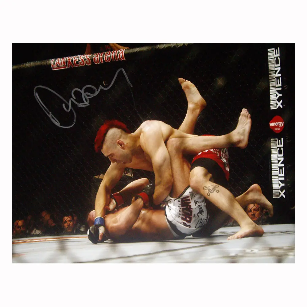 Dan Hardy signed 16x12 photo
