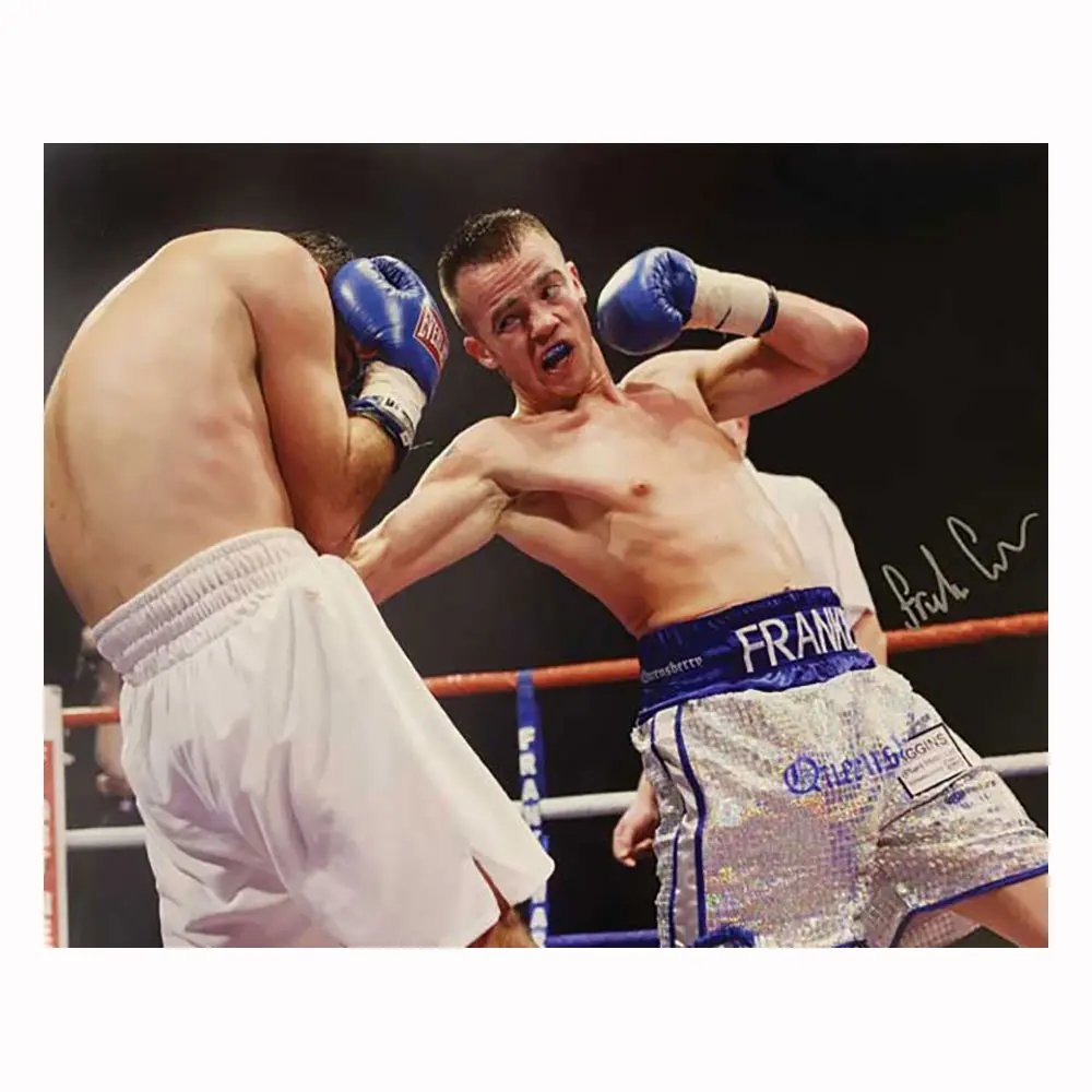 Frankie Gavin signed 16x12 photo