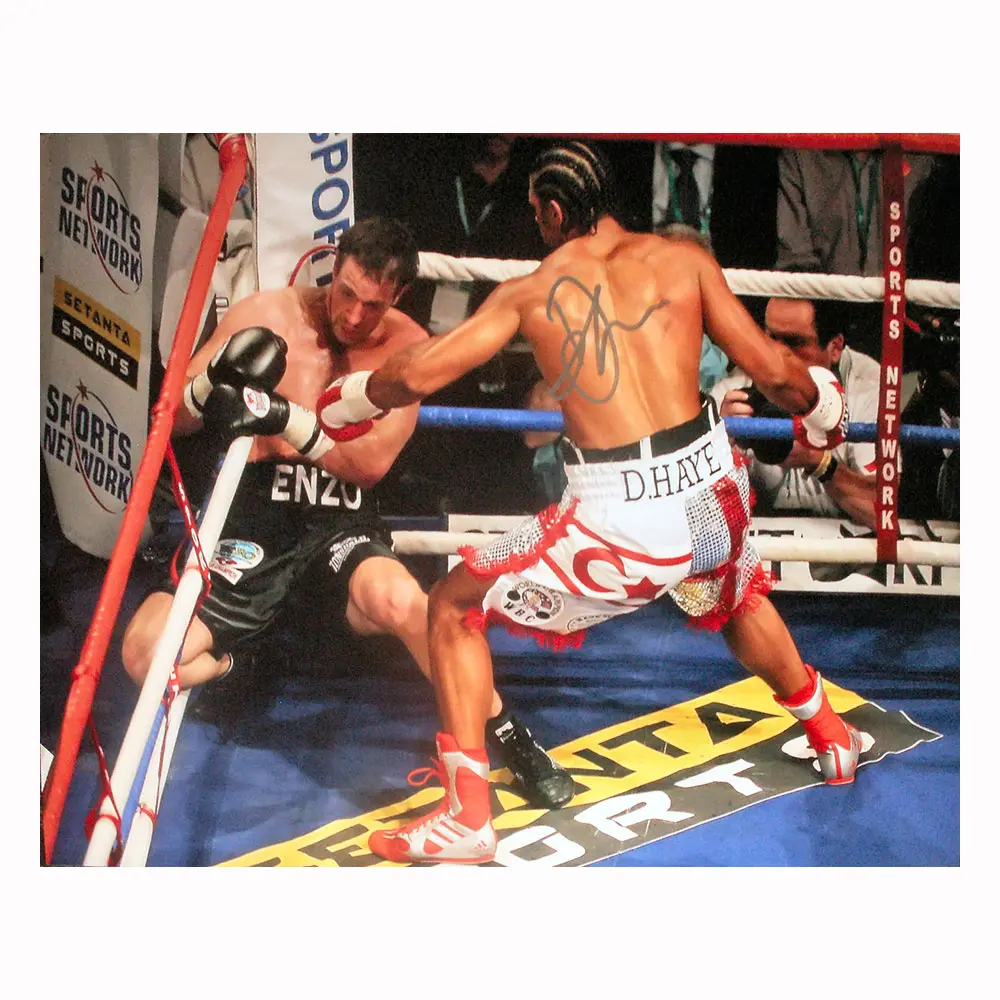 David Haye signed 16x12 photo vs Maccarinelli