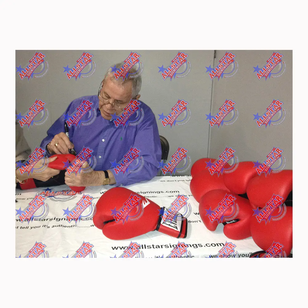 Terry Downes signed boxing glove
