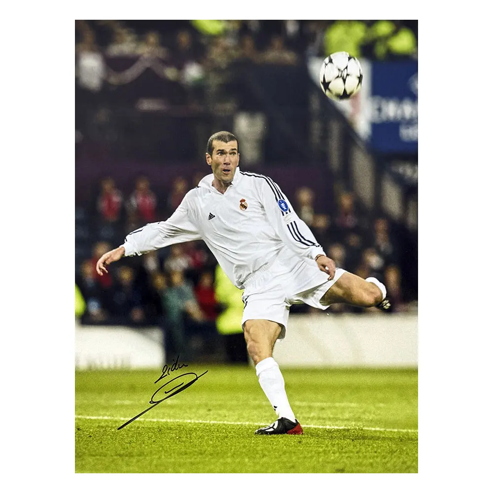 Zinedine Zidane signed Real Mardrid Champions League Final goal 16x20 photo